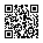 QR code linking to https://lsv.xyz/lsv-glossary-lsv-funds/