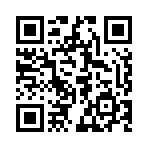 QR code linking to https://lsv.xyz/lsv-glossary-lsv-store/